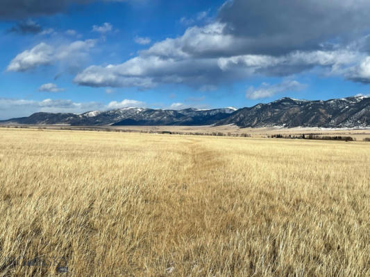 LOT 25 TBD LONESOME DOVE ROAD, CAMERON, MT 59720, photo 2 of 12