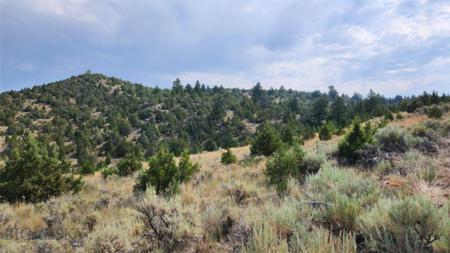 160 ACRES OFF OF MT HWY 287, ALDER, MT 59710, photo 2 of 28