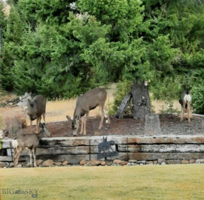 348 DEER LN, BUTTE, MT 59701, photo 3 of 44