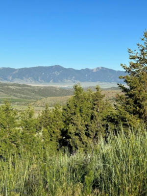 TRACT 1C-2, 162.2AC SOFINDIGO TRAIL, VIRGINIA CITY, MT 59729, photo 2 of 29