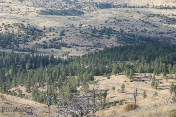 TBD HUMP CREEK ROAD, REED POINT, MT 59069 - Image 1