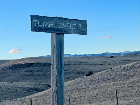 9 TUMBLEWEED TRL, LIVINGSTON, MT 59047 - Image 1