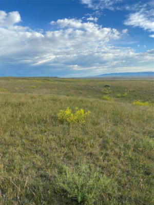 NHN ANTELOPE ROAD, SHAWMUT, MT 59078 - Image 1