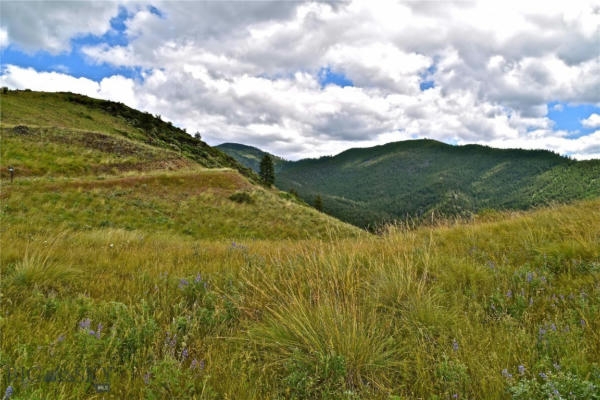 A AND B DEEMER RIDGE ROAD, PLAINS, MT 59859, photo 5 of 23