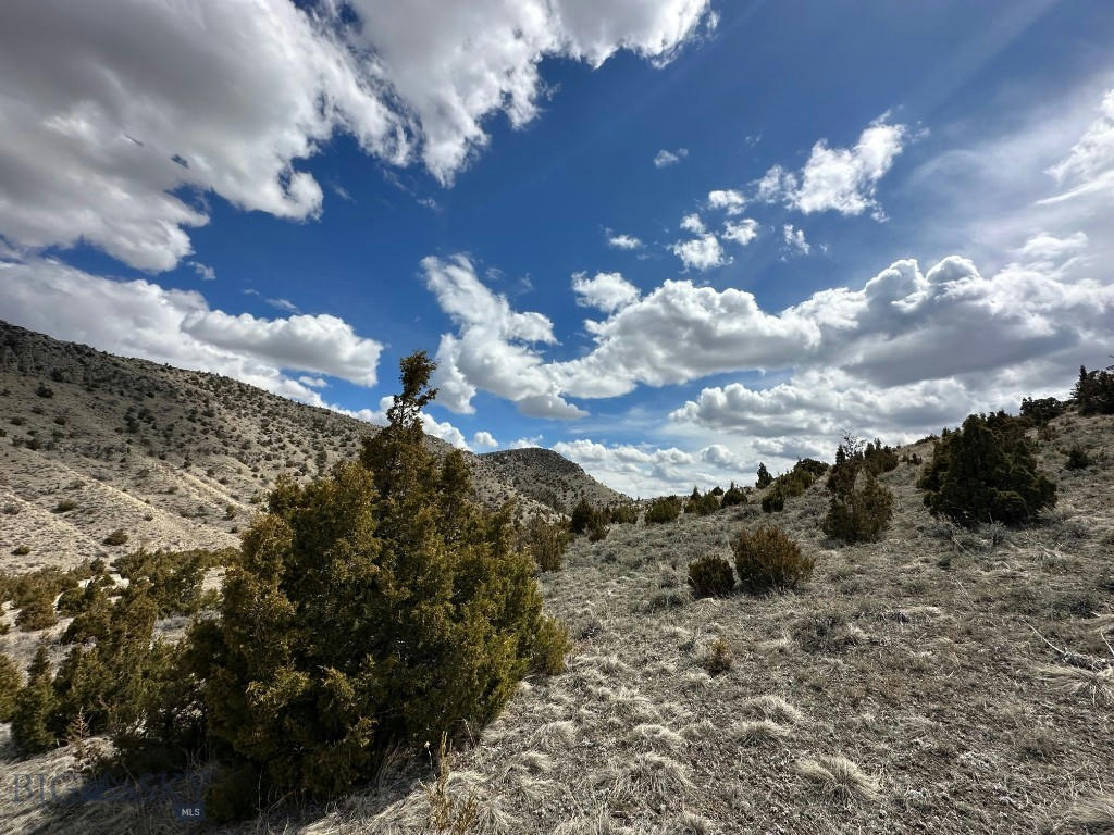 TBD NIXON GULCH ROAD, MANHATTAN, MT 59741, photo 1 of 18