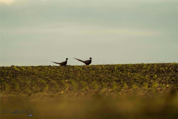 TBD E ROCK CREEK ROAD, FORT PECK, MT 59223 - Image 1