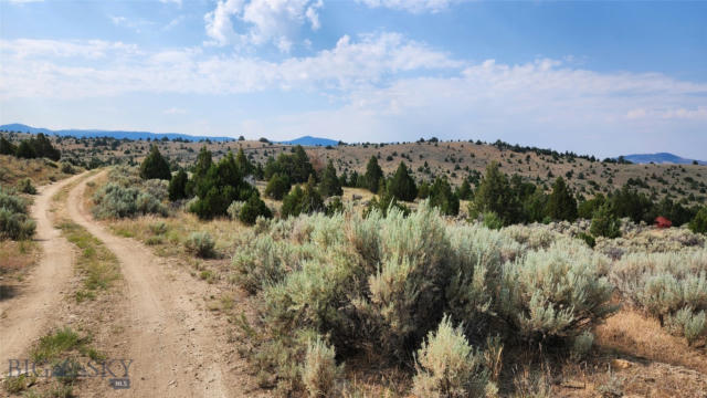 160 ACRES OFF MT HWY 287, ALDER, MT 59710, photo 5 of 24