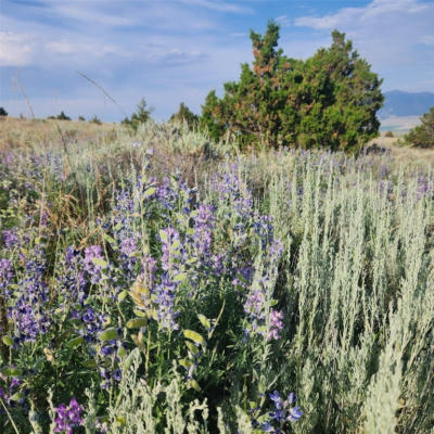 160 AC, OFF MILL GULCH RD, SHERIDAN, MT 59749, photo 5 of 59