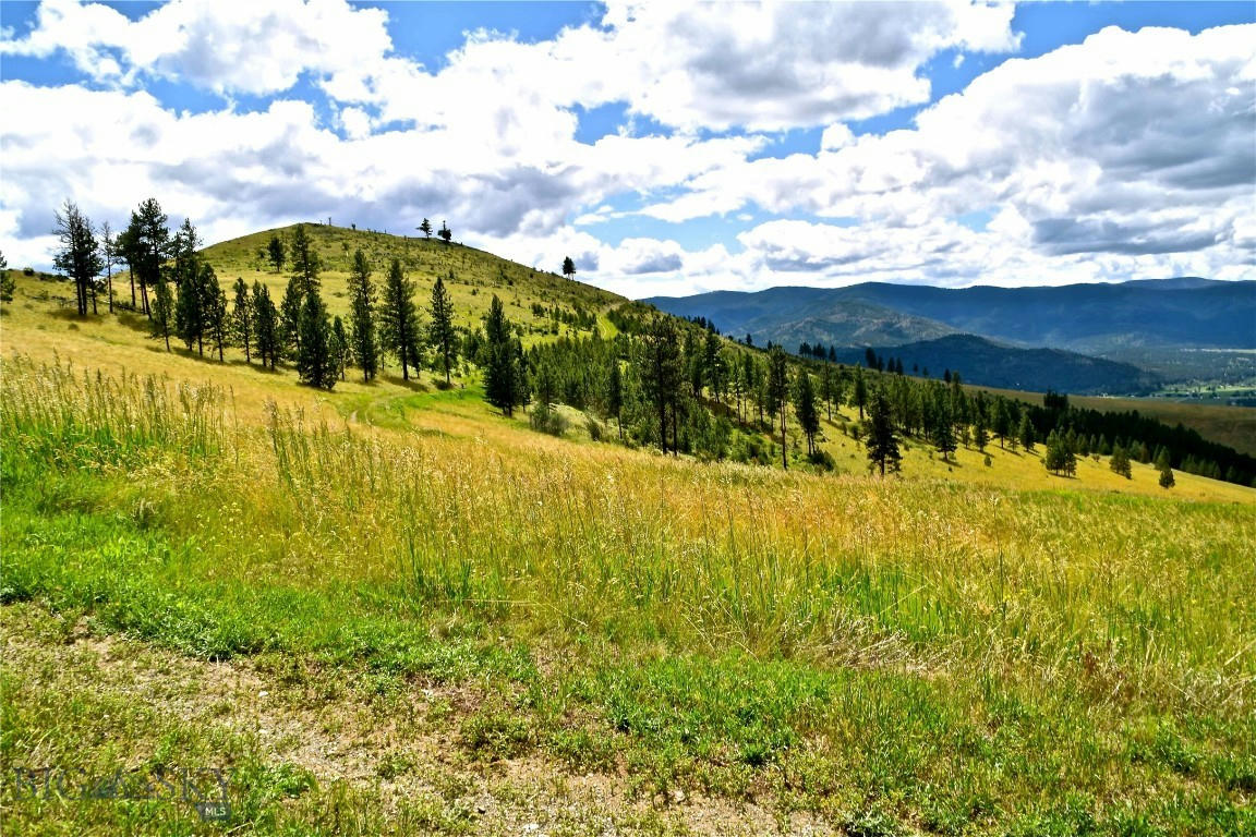 A AND B DEEMER RIDGE ROAD, PLAINS, MT 59859, photo 1 of 23