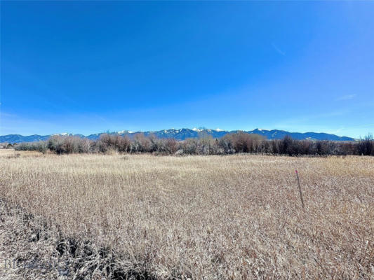 LOT 10 JEFFERSON ACRES-TOBACCO ROOT, SILVER STAR, MT 59751, photo 5 of 11
