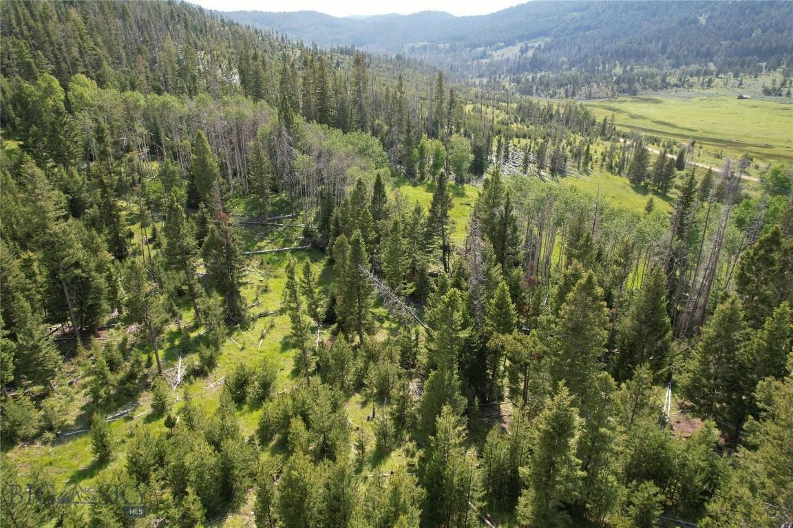 NHN FLUME GULCH, ROCKER, MT 59701, photo 1 of 10