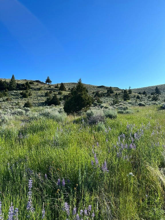 TRACT 1C-2, 162.2AC SOFINDIGO TRAIL, VIRGINIA CITY, MT 59729, photo 1 of 29