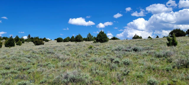 TRACT 2A 3 SPRINGS TRAIL, SHERIDAN, MT 59749, photo 5 of 22